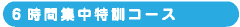 6時間集中特訓コース